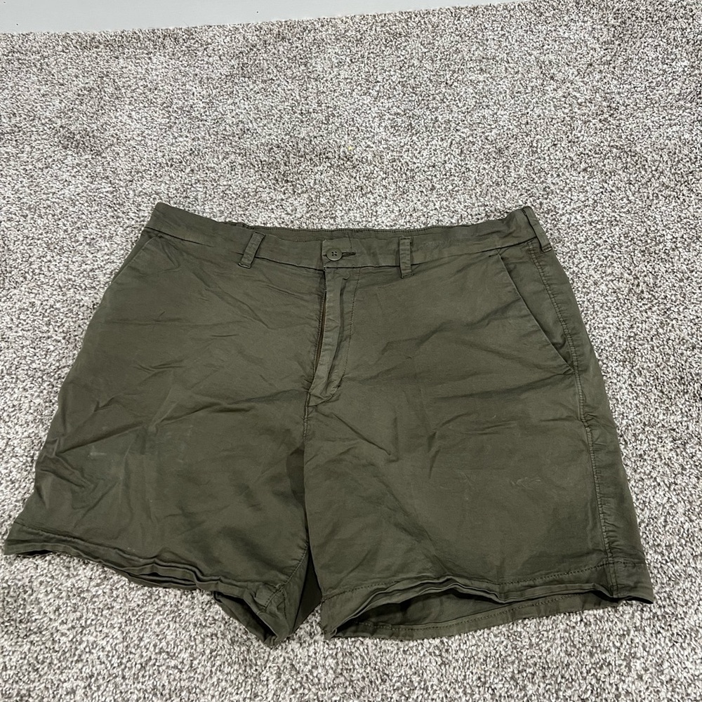 American Eagle Outfitters Dark Green Flat Front Shorts